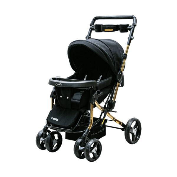 Benita Pro gold Stroller