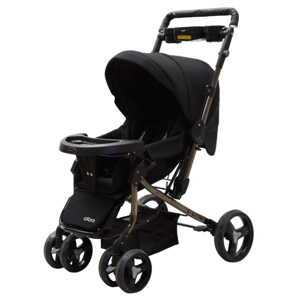 Benita Pro Titanium Stroller